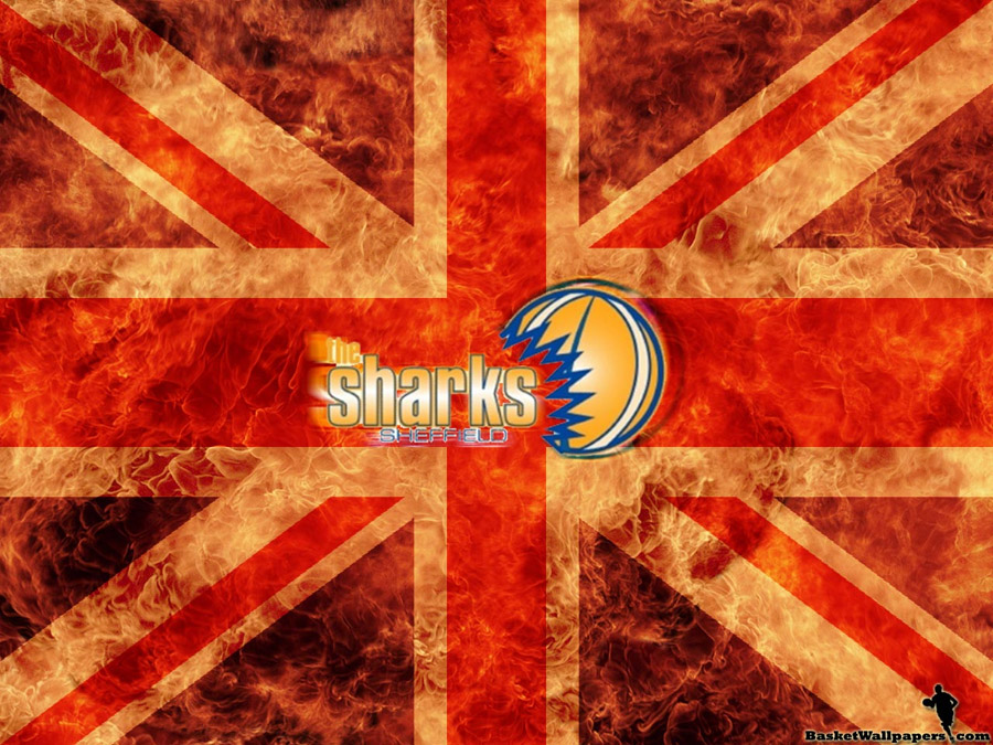 Sheffield Sharks Wallpaper