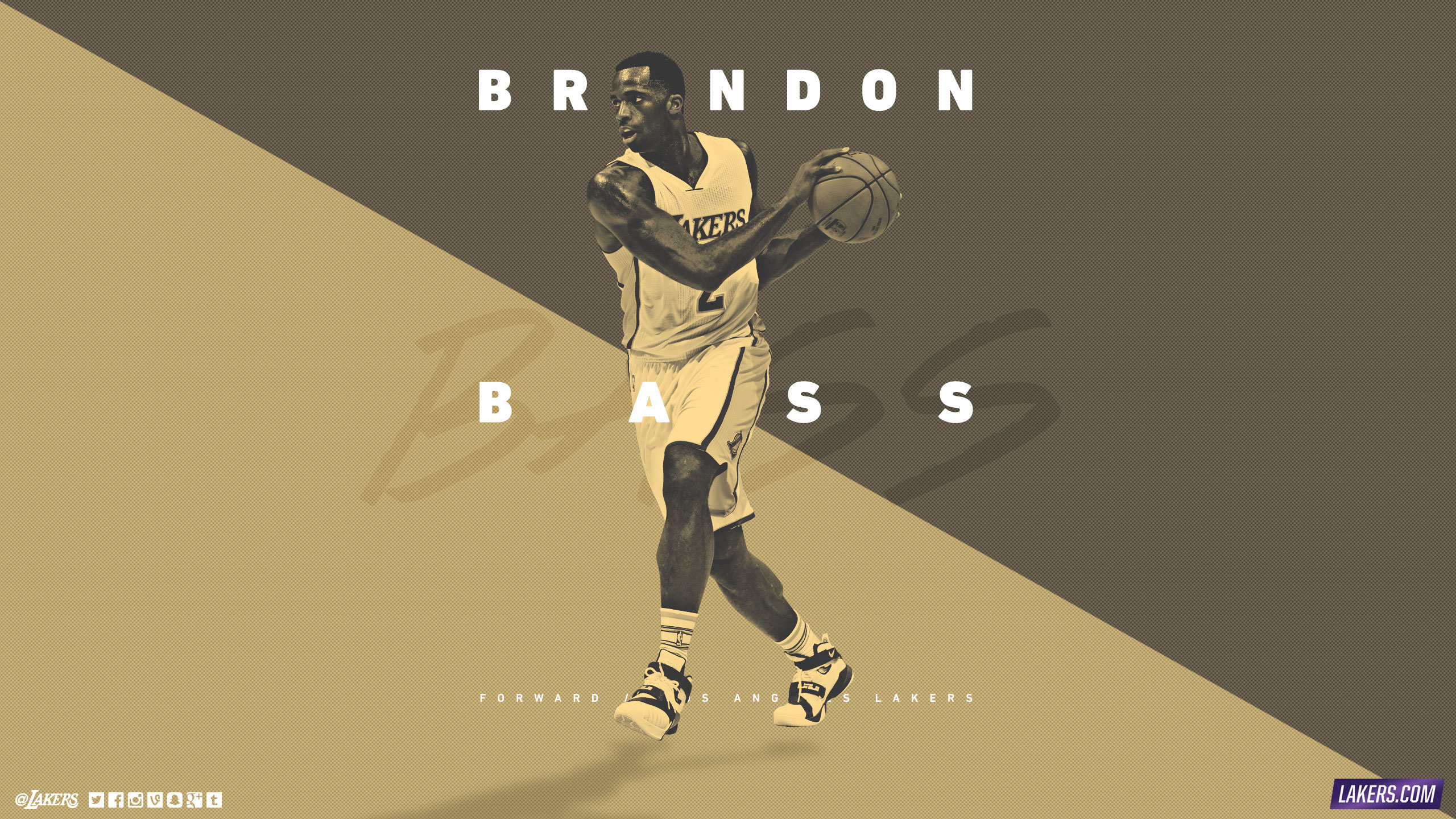 Brandon Bass LA Lakers 2560x1440 Wallpaper